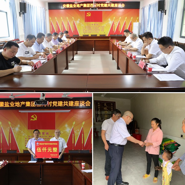 安徽鹽業(yè)地產(chǎn)集團黨委赴西河村開展結對共建幫扶慰問活動